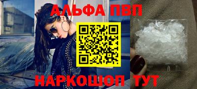 стафф Кингисепп
