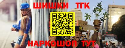 стафф Кингисепп