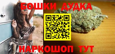 стафф Кингисепп