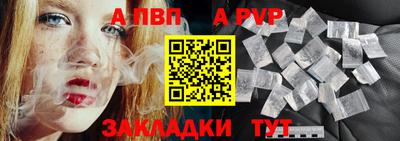 стафф Кингисепп