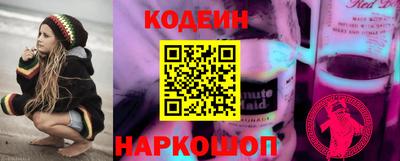 стафф Кингисепп